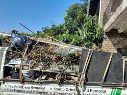 Best Moving and Downsizing Cleanouts  in Washington, GA